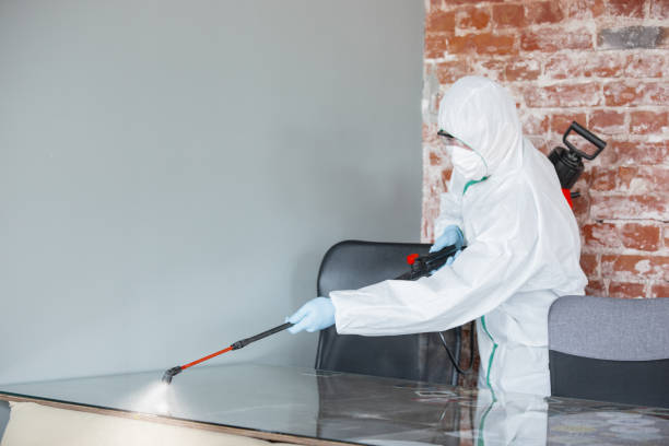 Mold Remediation for Rental Properties in Clinton, IN