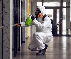 Best Biohazard Mold Removal  in Clton, IN